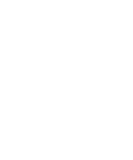 Alpha Media